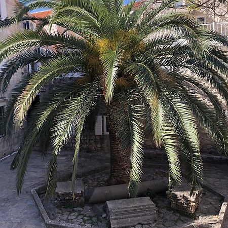Apartment Viva Budva Ngoại thất bức ảnh
